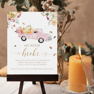Poster Citrouille Automne Baby shower My Water Broke Jeu