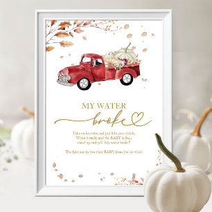 Poster Citrouille Automne Baby shower My Water Broke Jeu