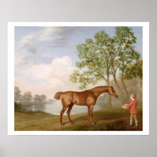Poster Citrouille avec un Stable-Lad, 1774 (huile sur pan