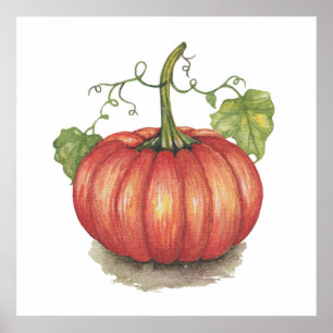 Poster Citrouille Cuisiné Avec Vins En Aquarelle