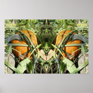 Poster Citrouille sur la vigne Miroir d'automne Art de la
