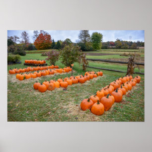 Poster Citrouilles à vendre, Ferme de New York