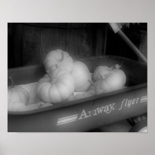 Poster Citrouilles Automne En Wagon Noir Blanc Photo Impr