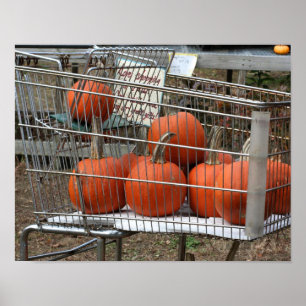 Poster Citrouilles Dans Panier Pays Automne
