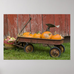Poster Citrouilles en vieux wagon