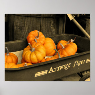 Poster Citrouilles En Wagon Sepia Couleur Partielle
