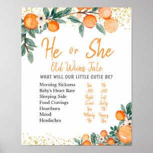 Poster Citrus Orange Genre Révéler Ancienne Femme Contes 