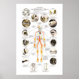 Poster Clark Dental Health Chart pour dentiste