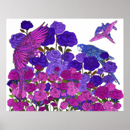 Poster Clarté du perroquet