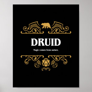 Poster Classe Druid Jeu RPG Tabletop