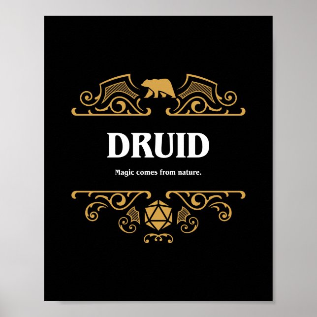 Poster Classe Druid Jeu RPG Tabletop (Devant)