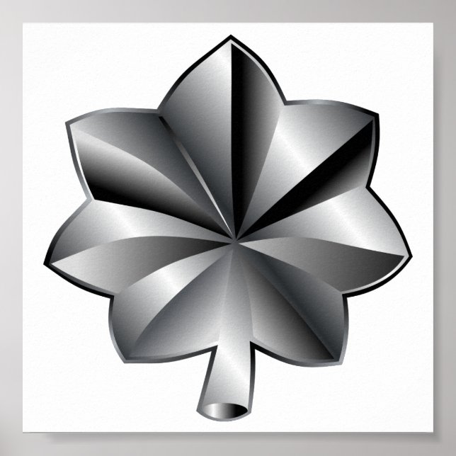 Poster Classement militaire des États-Unis - Lieutenant-c (Devant)