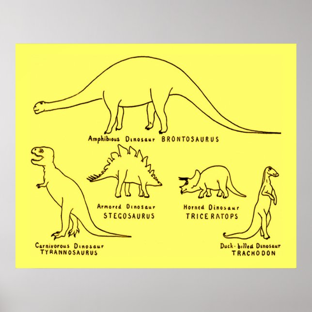 Poster Classification des dinosaures (Devant)