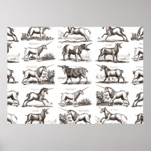 Poster Classique Unicorne Antique Mythique Magie Créature