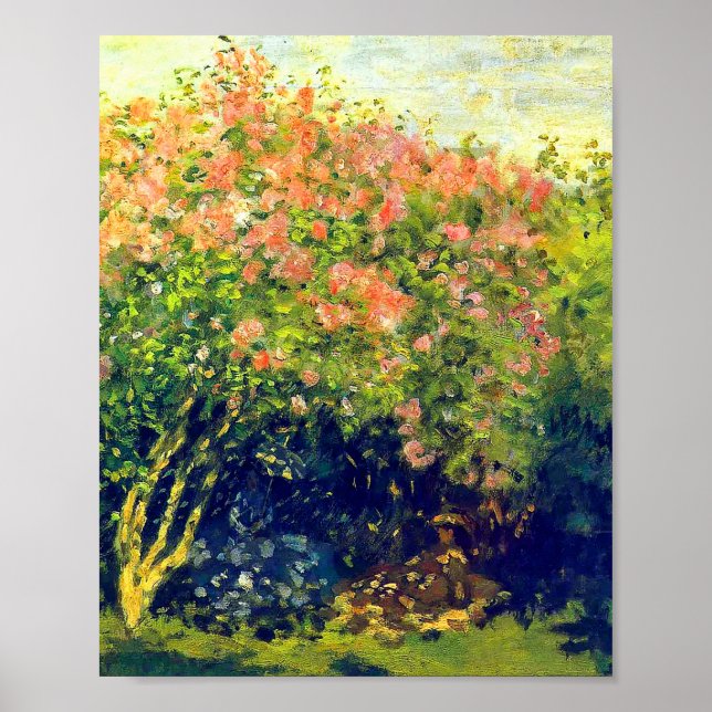 Poster Claude Monet (Devant)