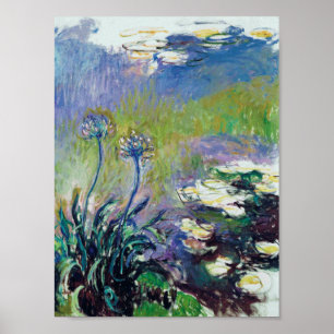 Poster Claude Monet - Agapanthus,