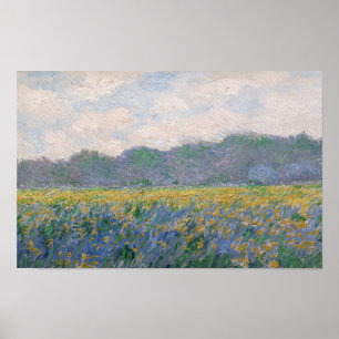 Poster Claude Monet - Champ d'iris jaunes à Giverny