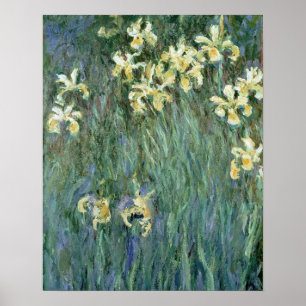 Poster Claude Monet   les iris jaunes