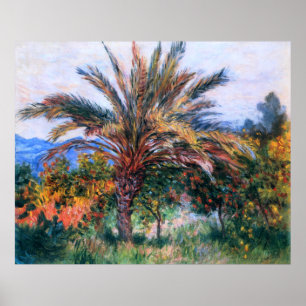 Poster Claude Monet : Palmier à Bordighera