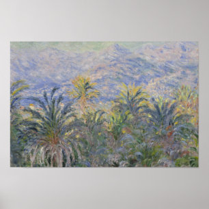 Poster Claude Monet - Palmiers à Bordighera