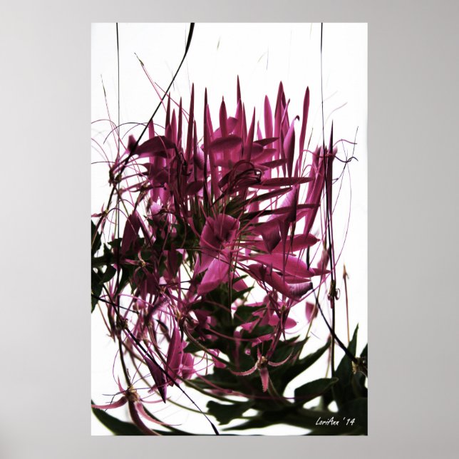 Poster Clé compressé (Devant)