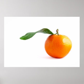 POSTER CLEMENTINE