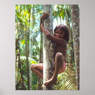Poster Climbing Trees.