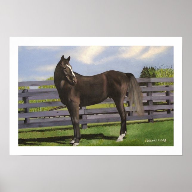 POSTER CLIQUER (Devant)