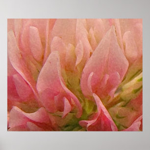 Poster Clocher rose