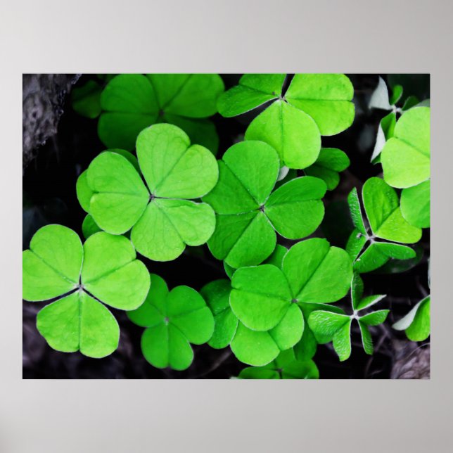 Poster Clochers chanceux (Devant)