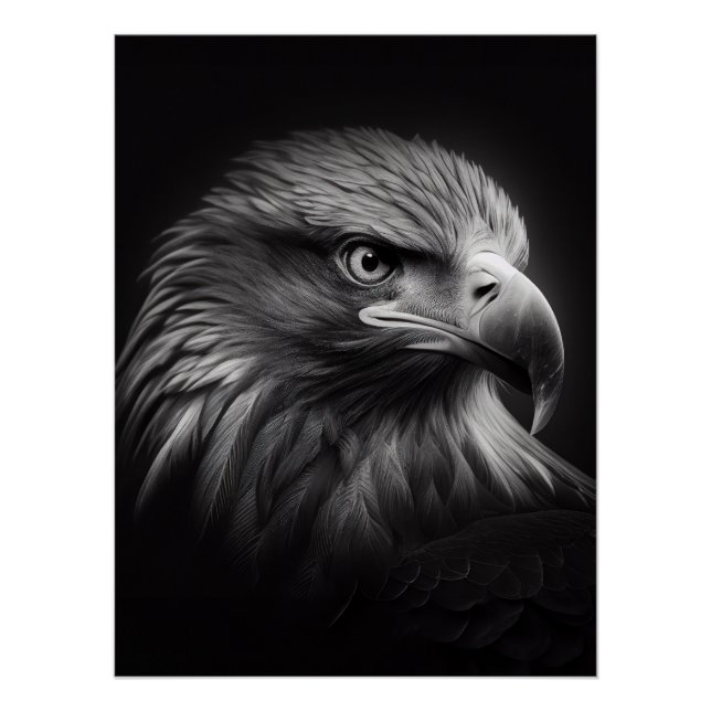 Poster Close-up moody portrait of eagle's face (Devant)