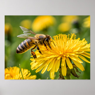 Poster Close Up of a Honeybee Collecting Nectar