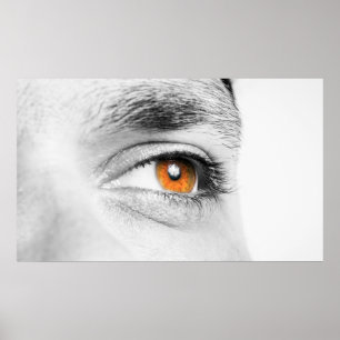 Poster Closeuse oculaire humain