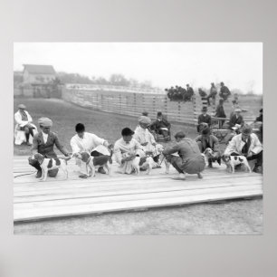 Poster Club national de beagle de l'Amérique, 1914