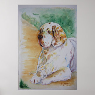 Poster Clumber Spaniel - Mon Ami Imprimer