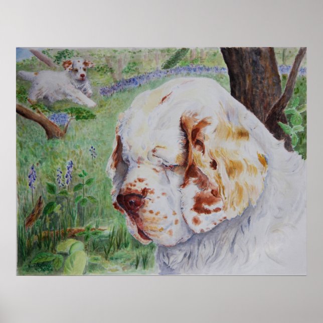 Poster Clumber Spaniel - Spring Woodland print (Devant)