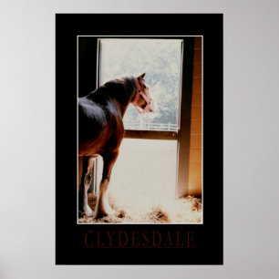 Poster Clydesdale majestueux