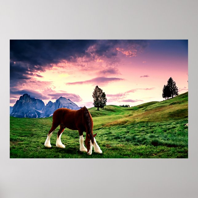 Poster Clydesdale Sunset (Devant)