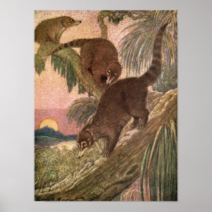 Poster Coatimundi par Louis Sargent, Animaux sauvages Vin