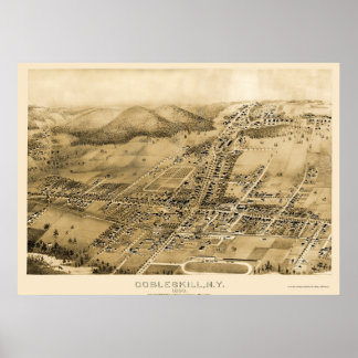 Poster Cobbleskill, NY Carte Panoramique - 1883
