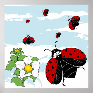 Poster coccinelle en vol