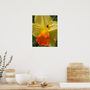 Poster Coccinelle sur fleur de narcisse jaune Floral
