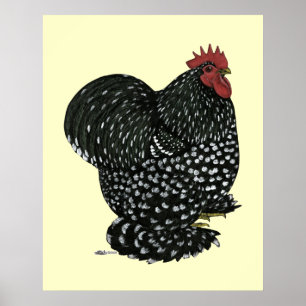 Poster Cochin: Black Mottle