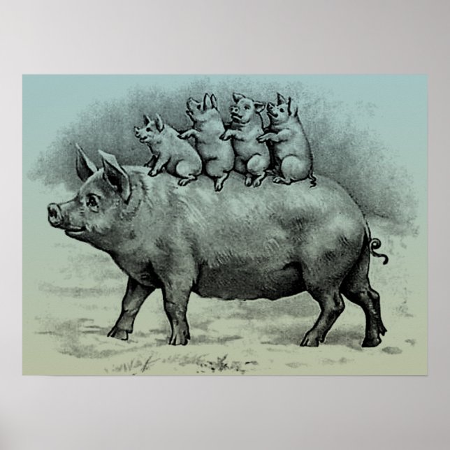 Poster Cochon avec porcelet (Devant)