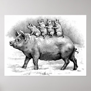 Poster Cochon avec porcelet