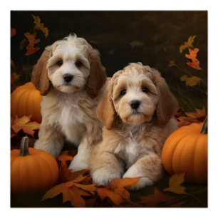 Poster Cockapoo Puppy Citrouille d'automne