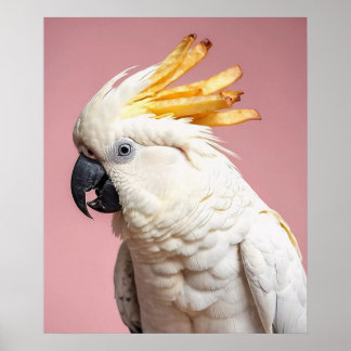 Poster Cockatoo Drôle Avec Crest Fries Français