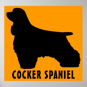 Poster Cocker Spaniel