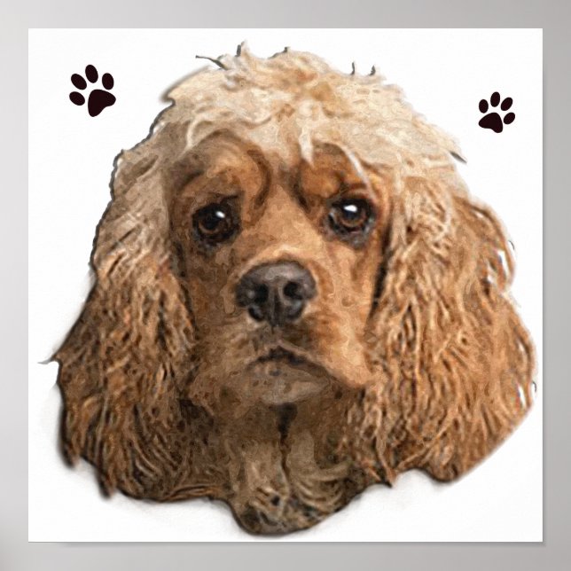 Poster Cocker Spaniel (Devant)