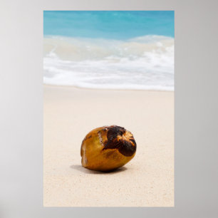 Poster Cocotier sur une plage tropicale